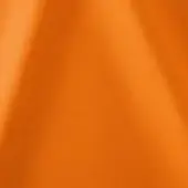 500013 - ARAGOSTA